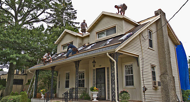 Best Roof Maintenance Services  in Bella Vista, AR